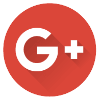 Google Review Icon