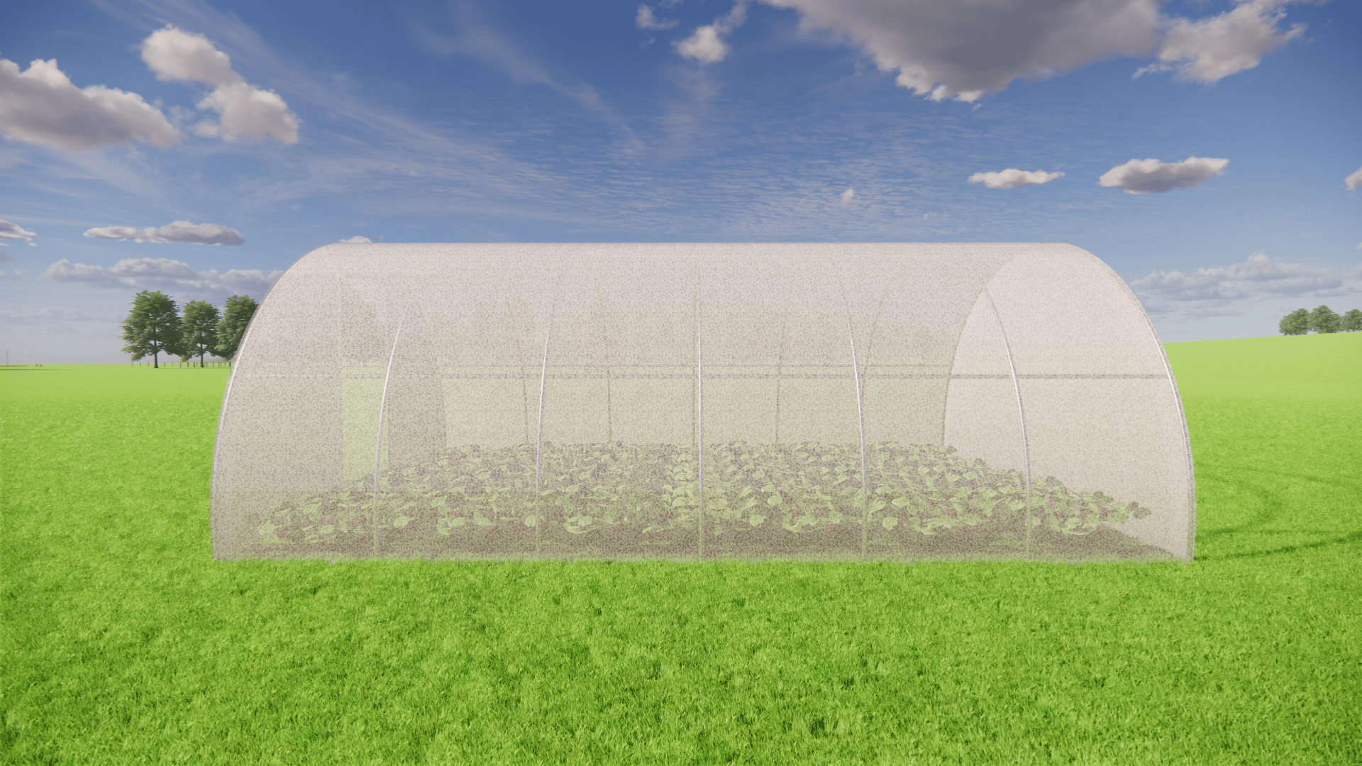 Polytunnel Covers for Crop Protection 22